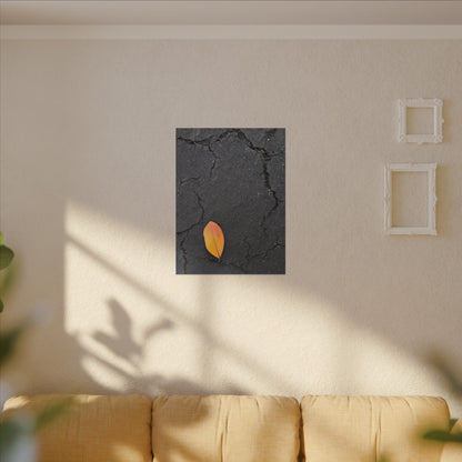 Orange Leaf Against Black Concrete Minimalistic Canvas Print – Contemporary Nature Photography Wall Art