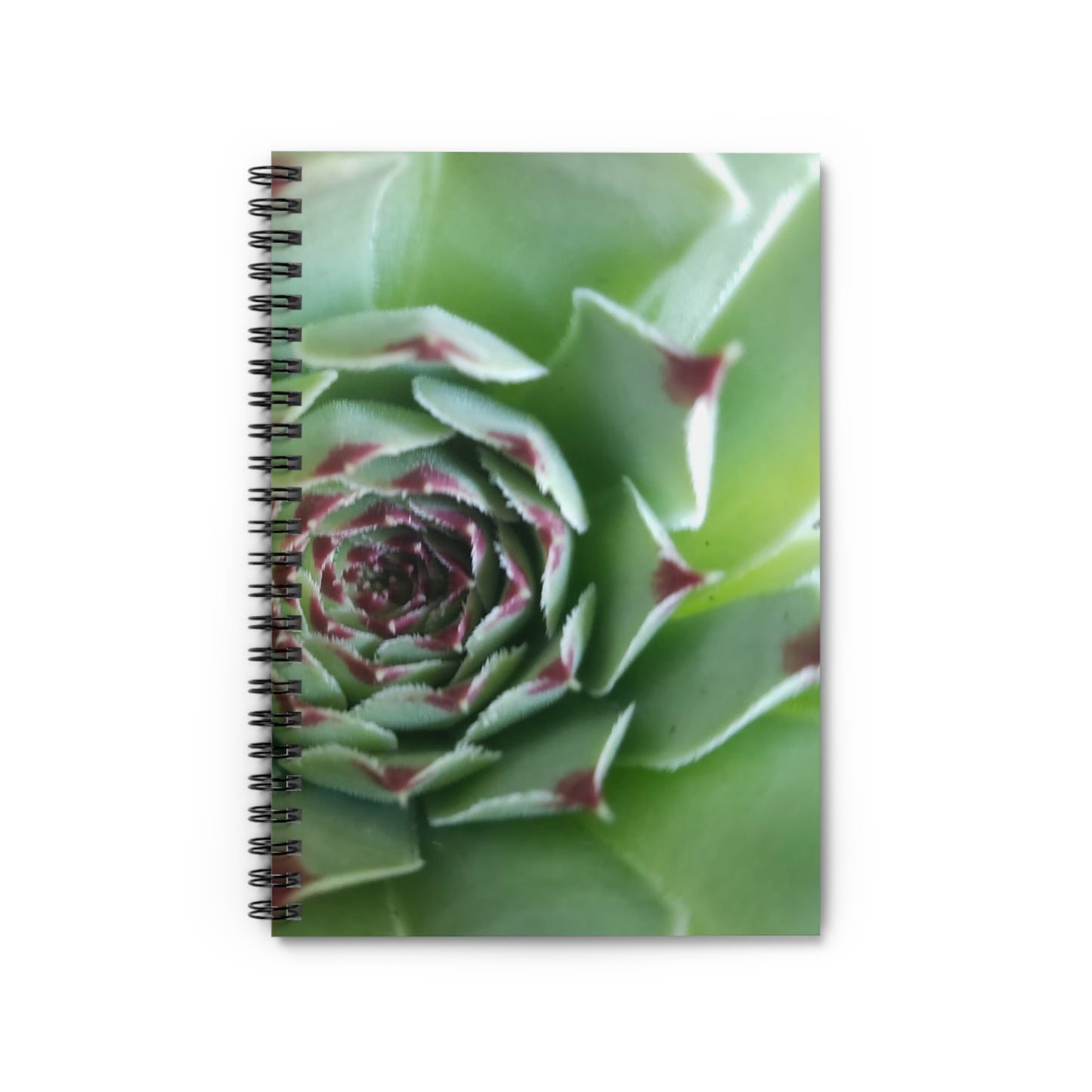 Pale Green Spiky Succulent Spiral Notebook – Botanical Photo Journal for Creative Desert-Inspired Note-Taking