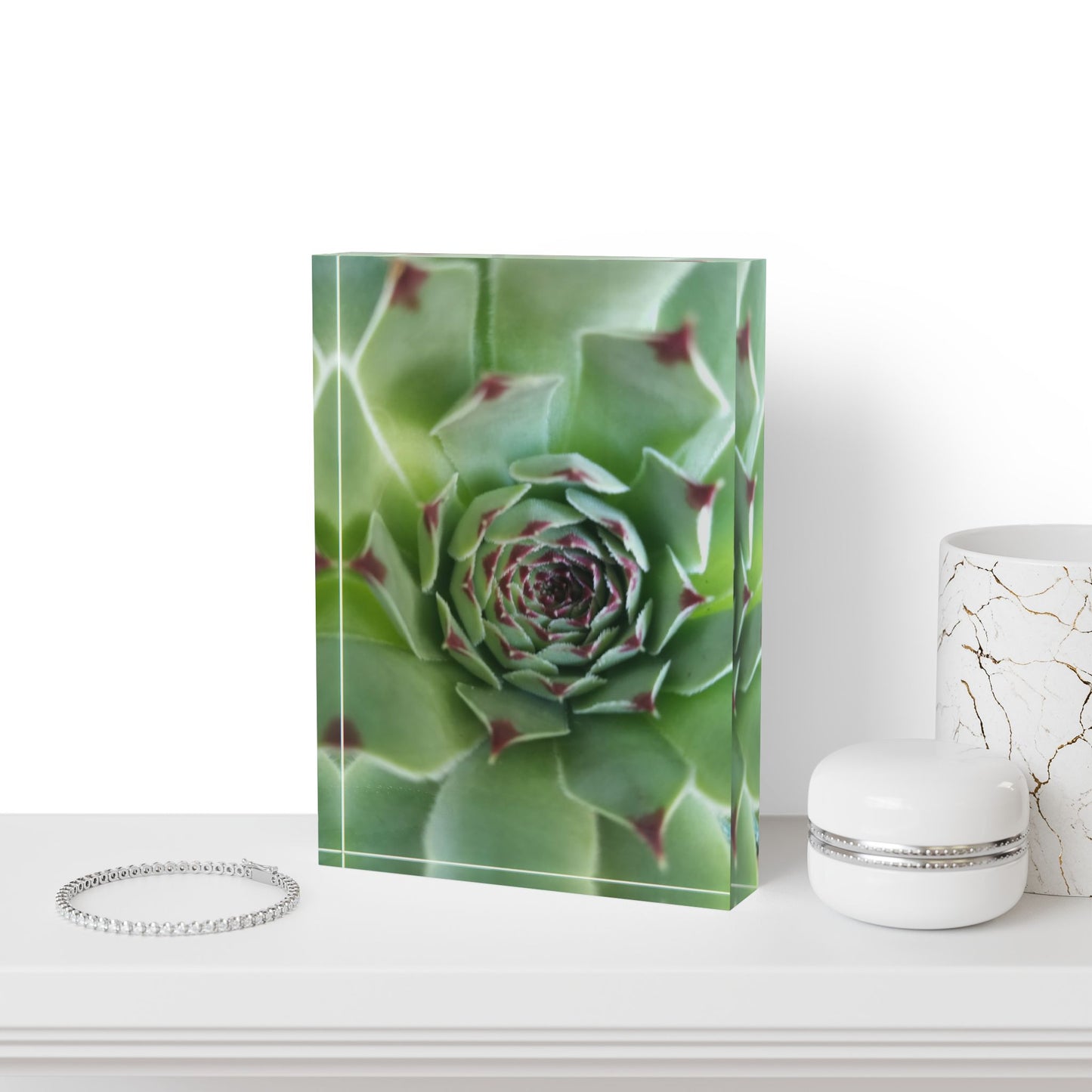 Pale Green Spiky Succulent Acrylic Block – Minimalist Botanical Desk Decor for Plant Lovers