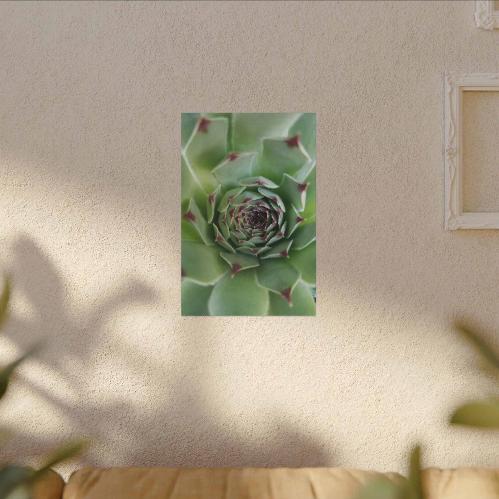zen succulent art for minimalist home