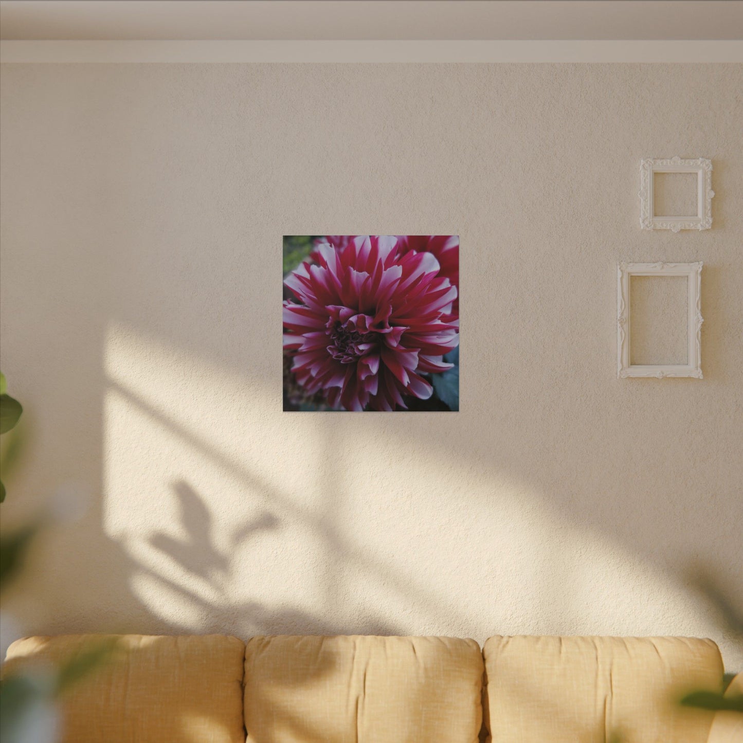 Red and White Dahlia Canvas Print – Bright Floral Nature Photography Wall Art