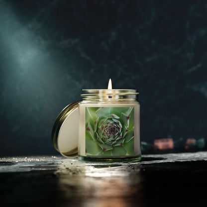 Pale Green Spiky Succulent Jar Candle – Minimalist Botanical Image Candle for Calm Desert-Inspired Decor