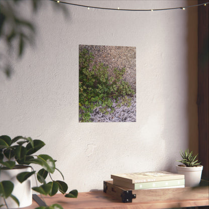 Where the Allseed Grows Poster – Urban Nature Minimalist Wall Art with Concrete Texture and Botanical Contrast