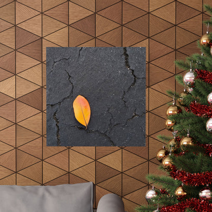 Orange Leaf Against Black Concrete Poster – Minimalist Nature Photography Wall Art