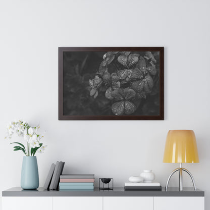 Geranium After a Light Rain Framed Print – Moody Botanical Floral Art, Monochrome Nature-Inspired Wall Decor