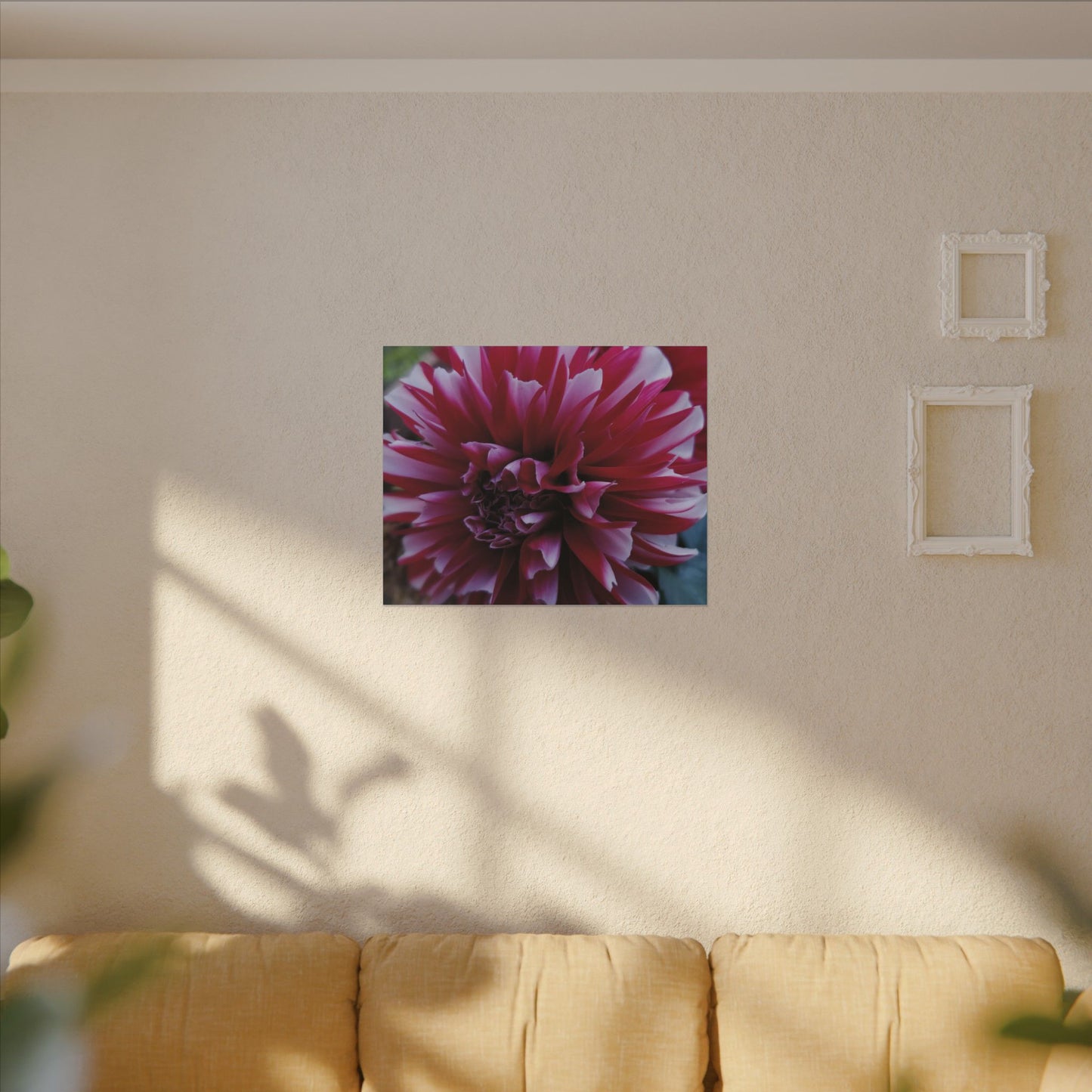 Red and White Dahlia Canvas Print – Bright Floral Nature Photography Wall Art