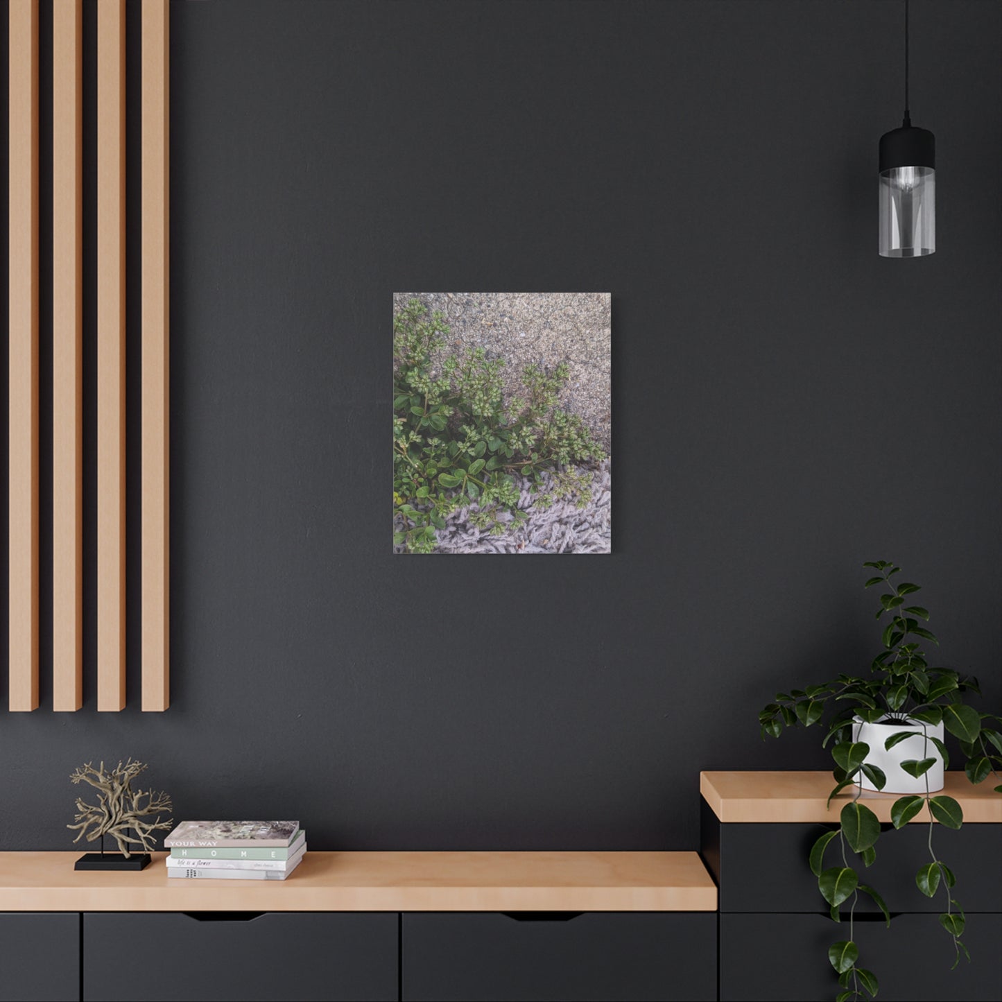 Where the Allseed Grows Canvas Print – Urban Nature Minimalist Botanical Wall Art with Concrete Texture