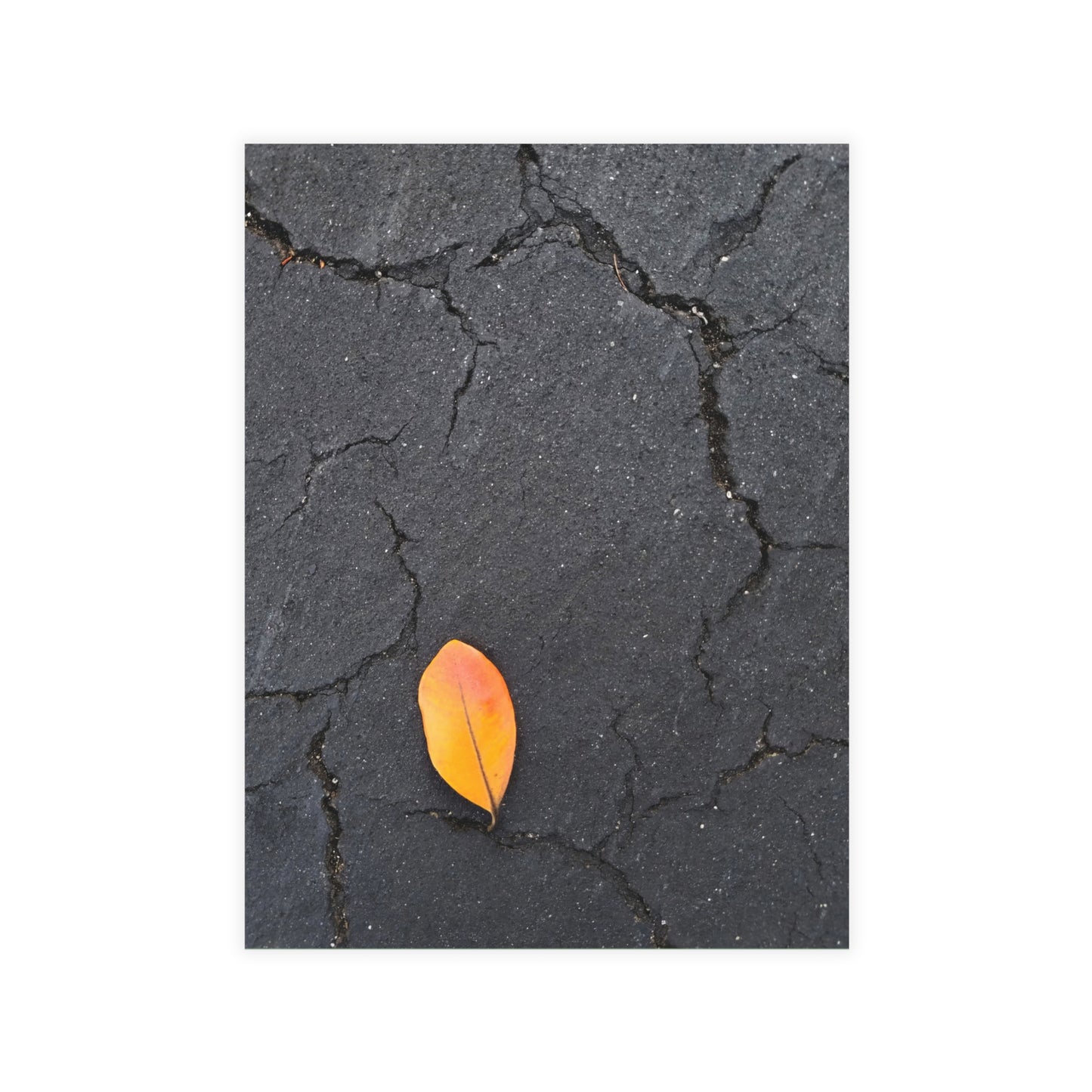 Orange Leaf on Black Concrete Inspirational Postcard – Minimalist Autumn Decor for Modern Homes