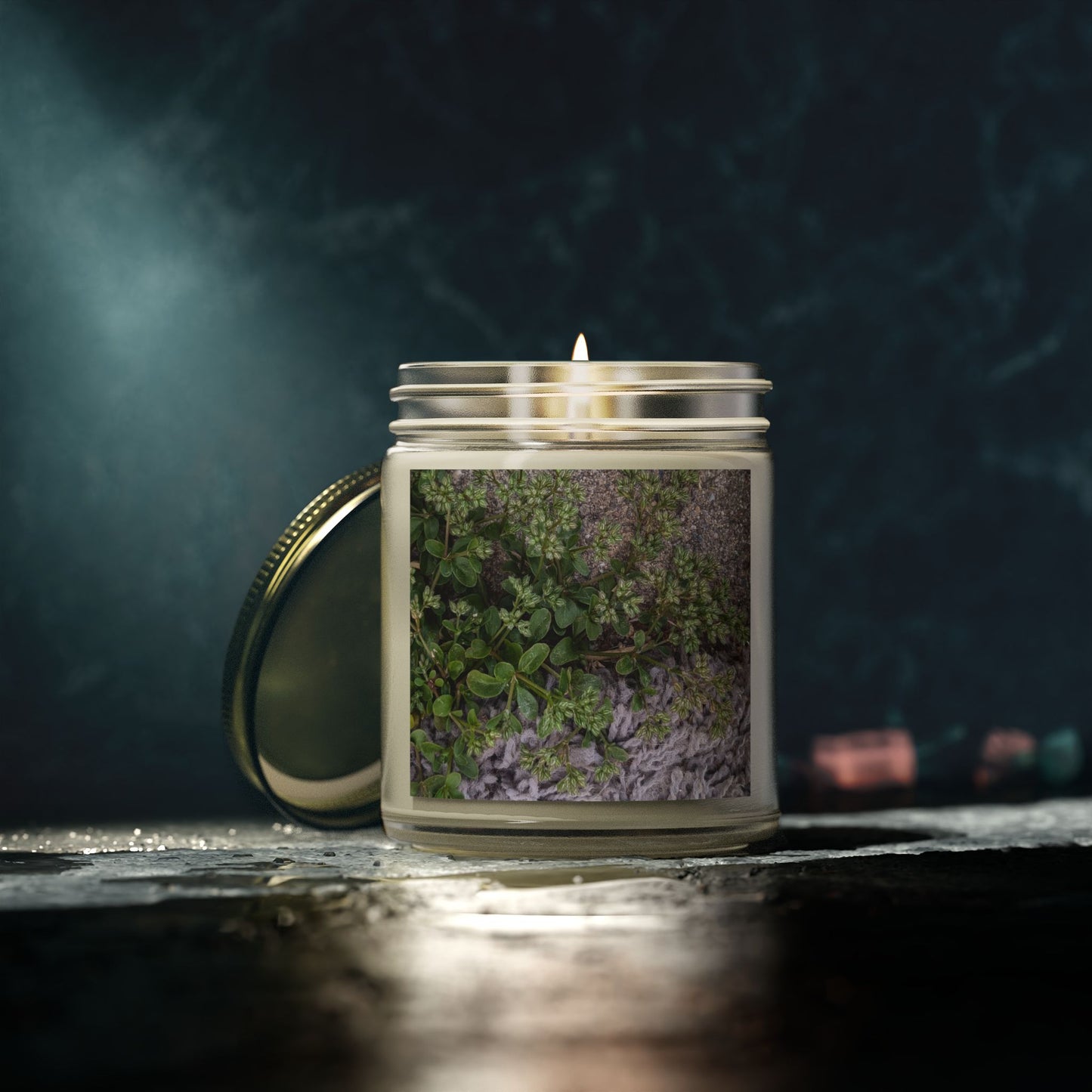 Where the Allseed Grows Jar Candle – Urban Nature Minimalist Scented Candle with Botanical Concrete Texture