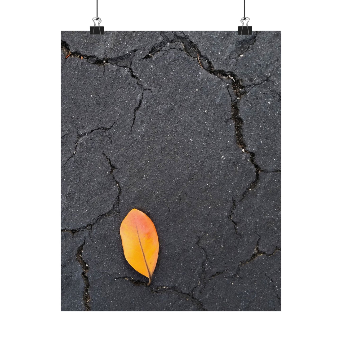 Orange Leaf Against Black Concrete Poster – Minimalist Nature Photography Wall Art