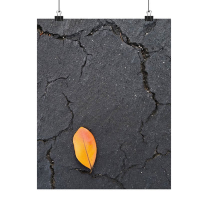 Orange Leaf Against Black Concrete Poster – Minimalist Nature Photography Wall Art