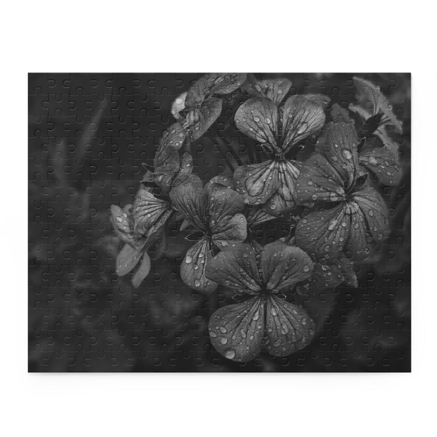 Geranium After a Light Rain Puzzle – Black and White Floral Photography Jigsaw Puzzle for Adults and Teens, Modern Botanical Gift Idea