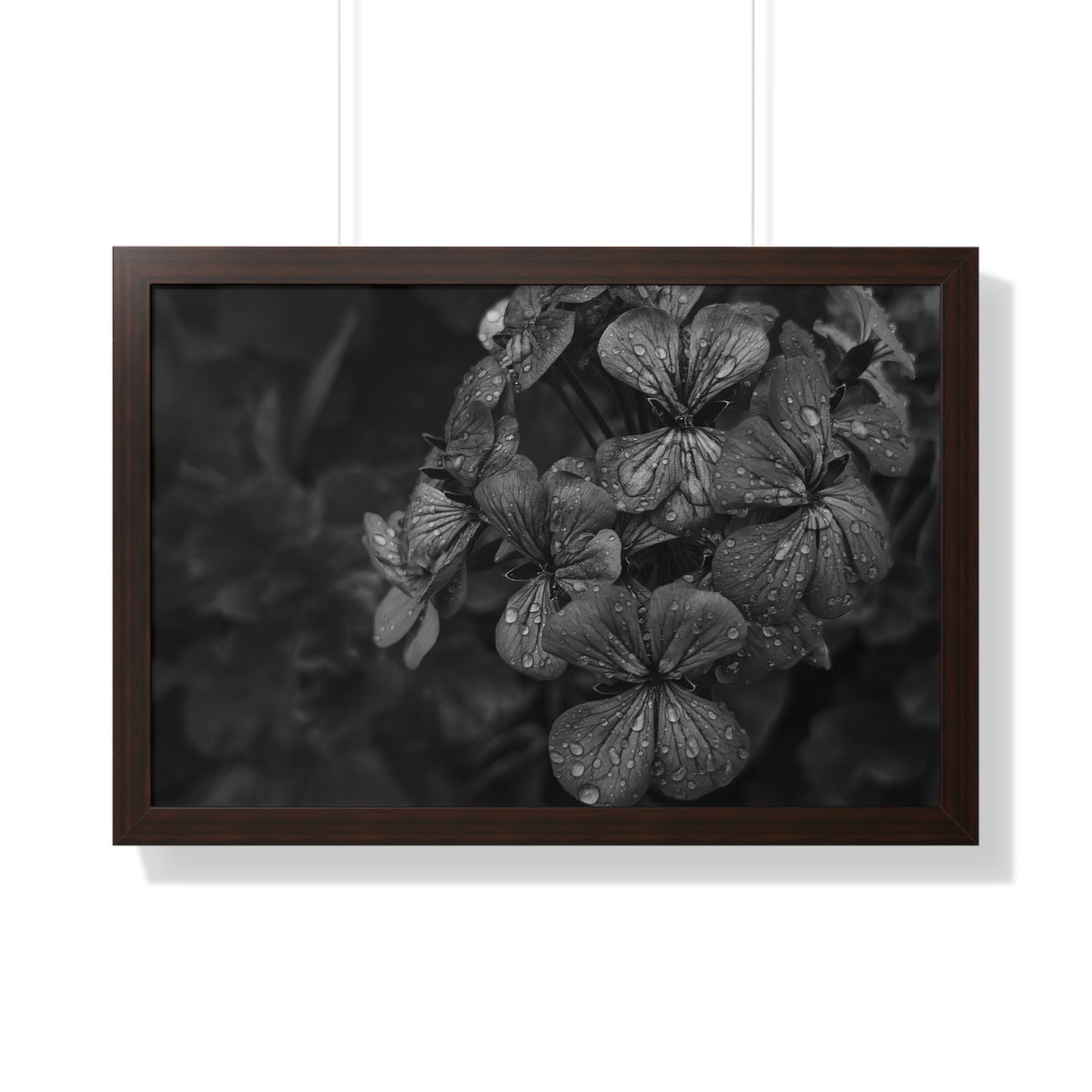 Geranium After a Light Rain Framed Print – Moody Botanical Floral Art, Monochrome Nature-Inspired Wall Decor