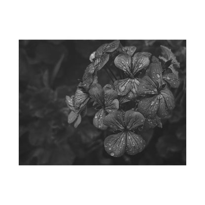 Geranium print wall art in moody botanical aesthetic