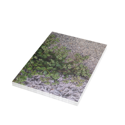 Where the Allseed Grows Postcard – Urban Nature Minimalist Botanical Stationery with Concrete Texture