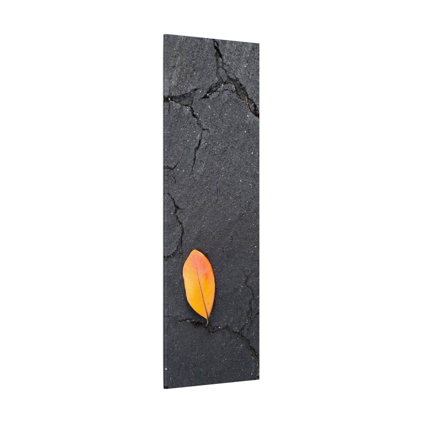 Orange Leaf Against Black Concrete Minimalistic Canvas Print – Contemporary Nature Photography Wall Art