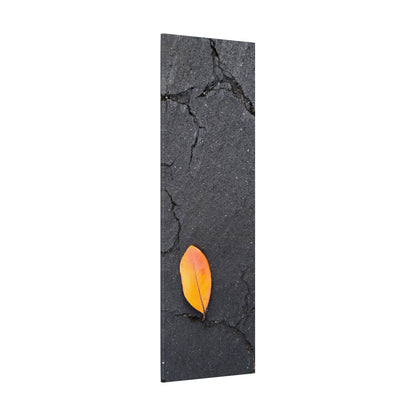Orange Leaf Against Black Concrete Minimalistic Canvas Print – Contemporary Nature Photography Wall Art