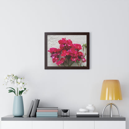 Bougainvillea Against White Stucco Wall Framed Print – Mediterranean Floral Wall Art, Summer Bloom Botanical Decor