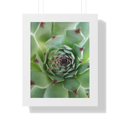 Pale Green Spiky Succulent Framed Print – Minimalist Botanical Wall Art for Desert-Inspired Interiors