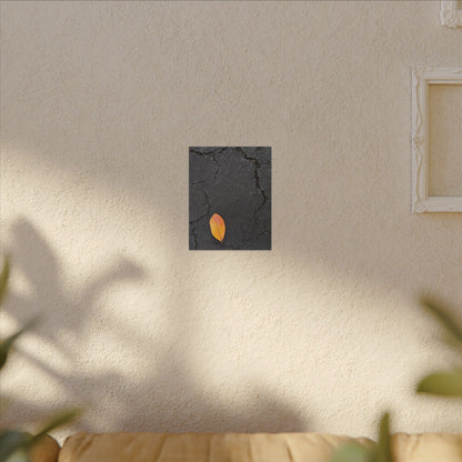 Orange Leaf Against Black Concrete Minimalistic Canvas Print – Contemporary Nature Photography Wall Art