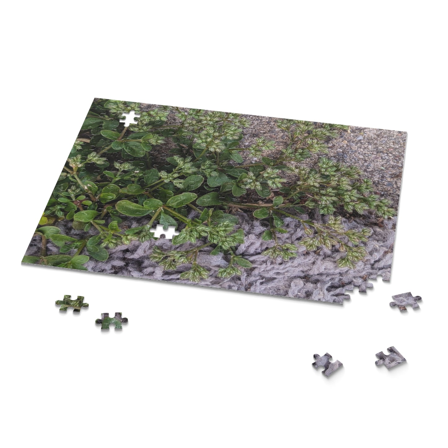 Where the Allseed Grows Puzzle – Urban Nature Minimalist Botanical Jigsaw with Concrete Texture