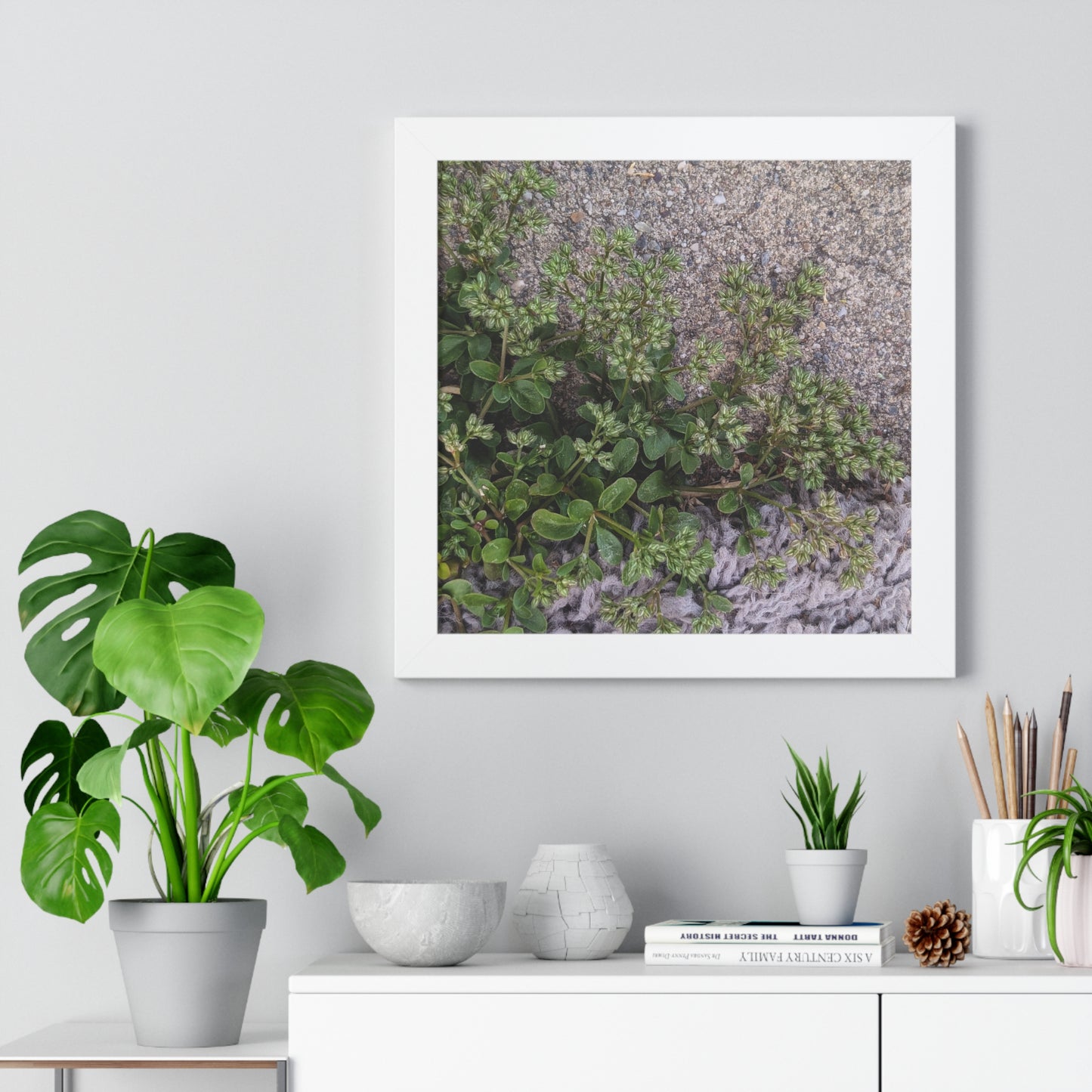 Where the Allseed Grows Framed Print – Urban Nature Minimalist Botanical Wall Art with Concrete Texture