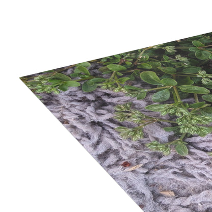 Where the Allseed Grows Postcard – Urban Nature Minimalist Botanical Stationery with Concrete Texture