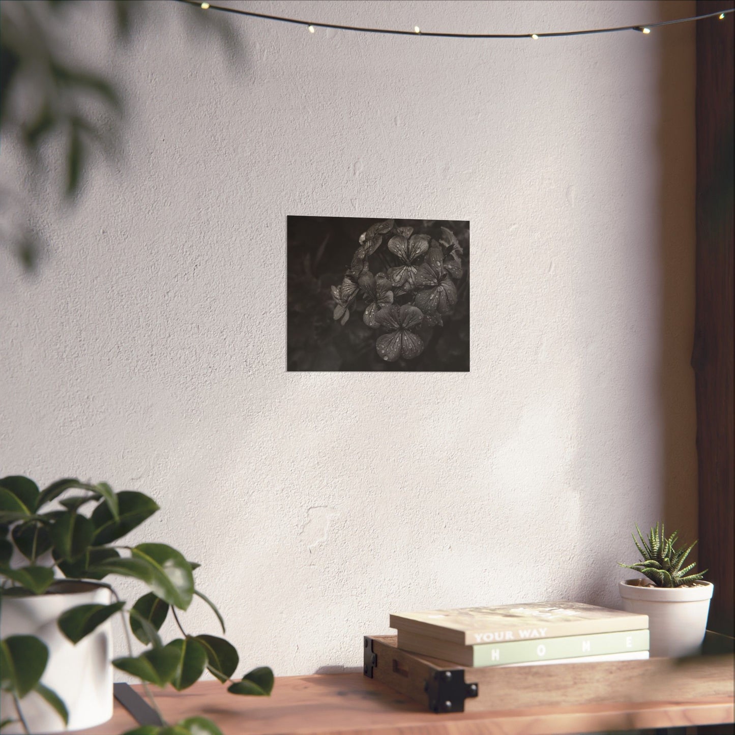 Geranium After a Light Rain Poster Print – Moody Botanical  Black and White Floral Photography Wall Art