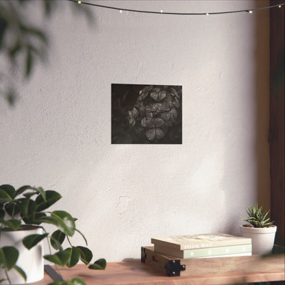Geranium After a Light Rain Poster Print – Moody Botanical  Black and White Floral Photography Wall Art