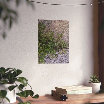 Where the Allseed Grows Poster – Urban Nature Minimalist Wall Art with Concrete Texture and Botanical Contrast