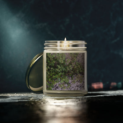 Where the Allseed Grows Jar Candle – Urban Nature Minimalist Scented Candle with Botanical Concrete Texture