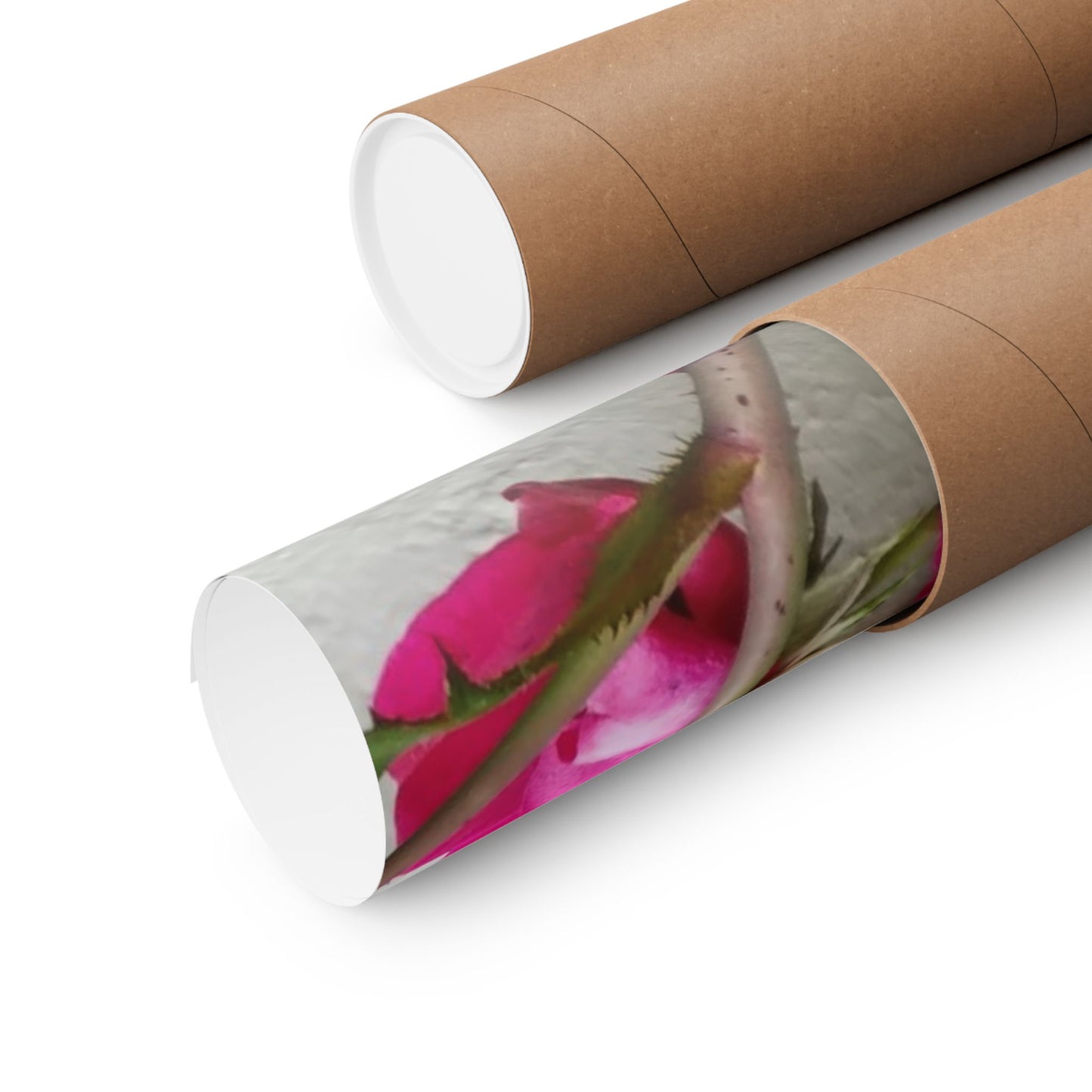 Bougainvillea Against White Stucco Wall Poster – Vibrant Floral Photography Wall Art