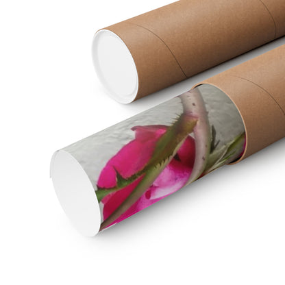 Bougainvillea Against White Stucco Wall Poster – Vibrant Floral Photography Wall Art