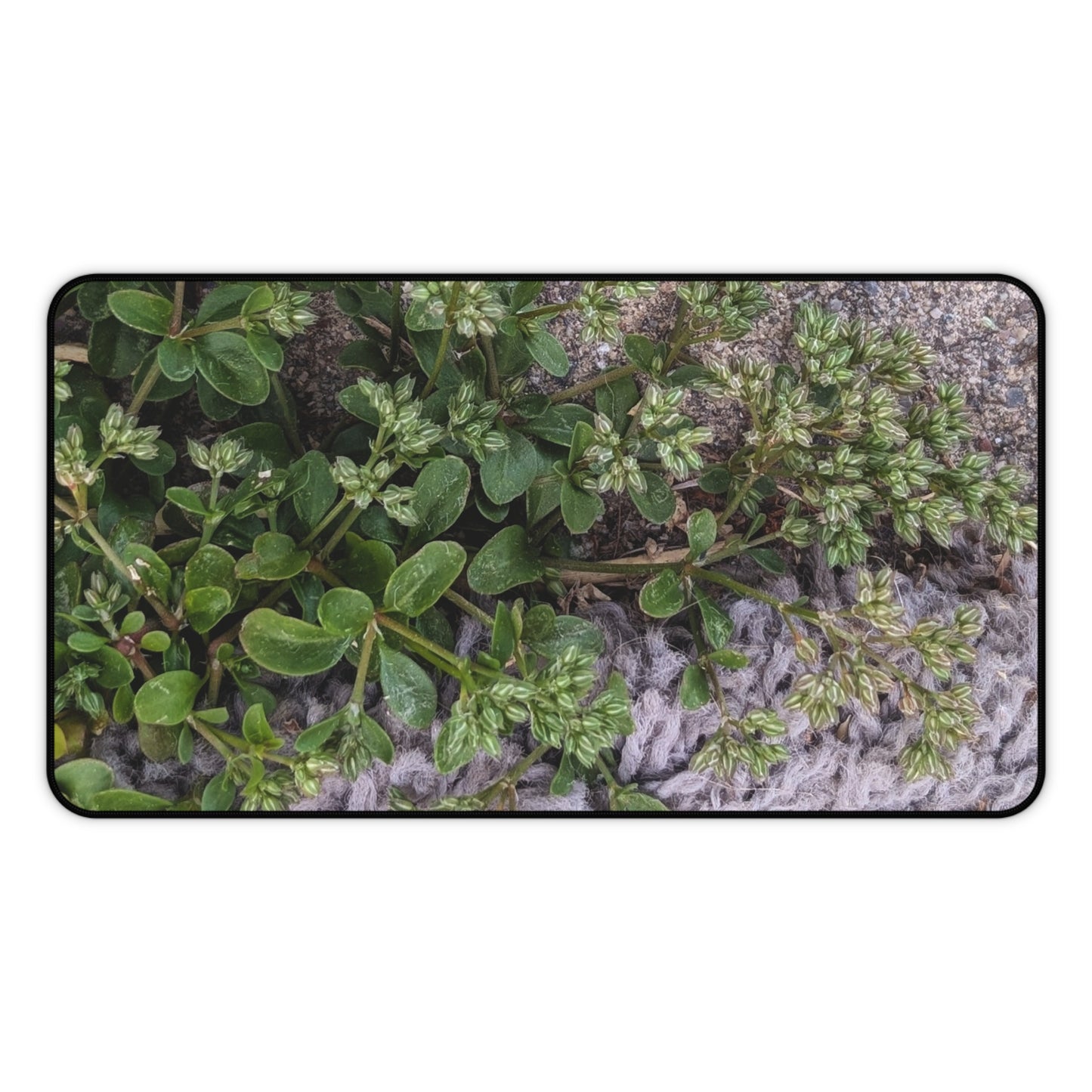 Where the Allseed Grows Desk Mat – Urban Nature Minimalist Botanical Workspace Mat with Concrete Texture Design