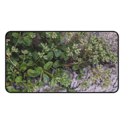 Where the Allseed Grows Desk Mat – Urban Nature Minimalist Botanical Workspace Mat with Concrete Texture Design
