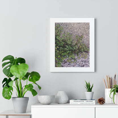 Where the Allseed Grows Framed Print – Urban Nature Minimalist Botanical Wall Art with Concrete Texture
