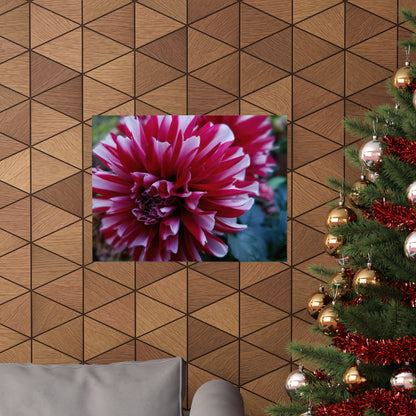 Red and White Dahlia Wall Poster – Botanical Floral Art Print, Cottagecore Summer Bloom Decor