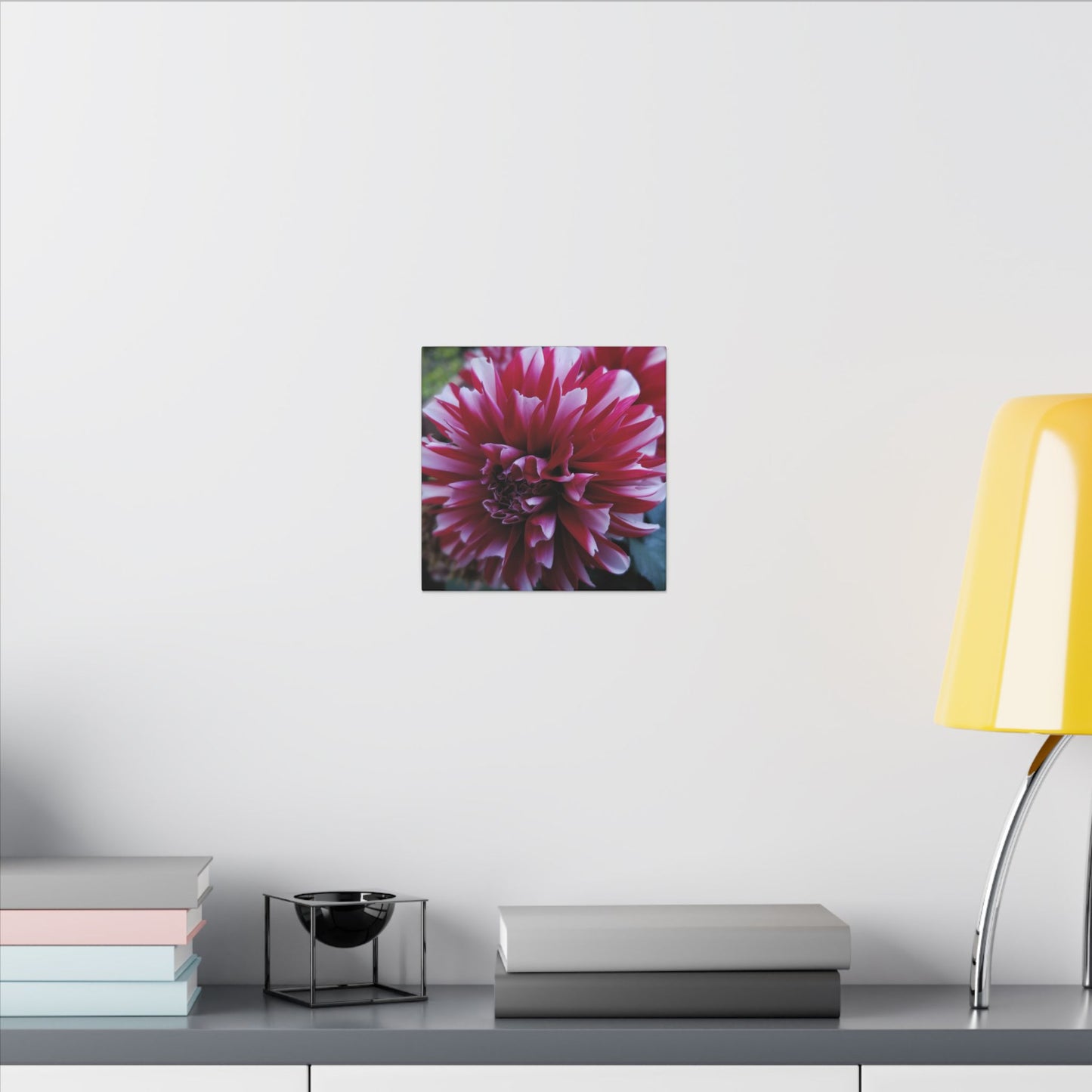 Red and White Dahlia Canvas Print – Bright Floral Nature Photography Wall Art