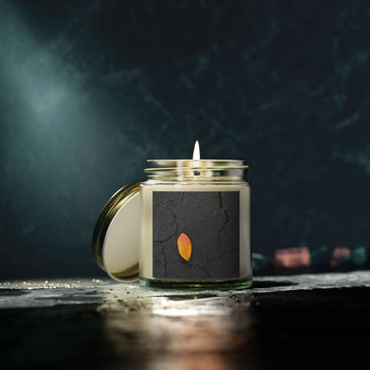 Orange Leaf on Black Concrete Jar Candle – Minimalist Autumn Decor with Urban Nature-Inspired Photography and Moody Fall Aesthetic