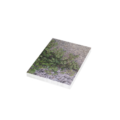 Where the Allseed Grows Postcard – Urban Nature Minimalist Botanical Stationery with Concrete Texture