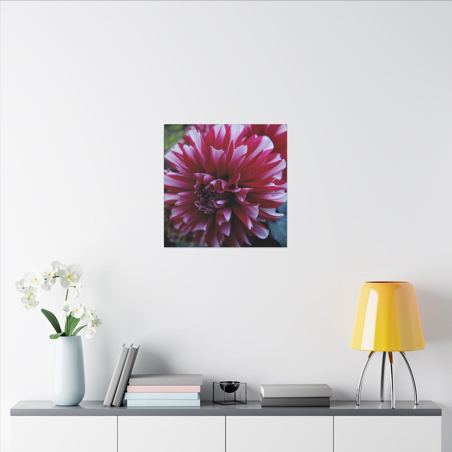 Red and White Dahlia Canvas Print – Bright Floral Nature Photography Wall Art