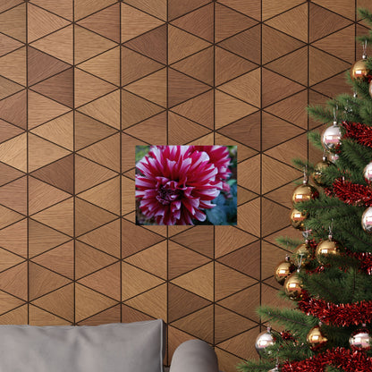 Red and White Dahlia Wall Poster – Botanical Floral Art Print, Cottagecore Summer Bloom Decor