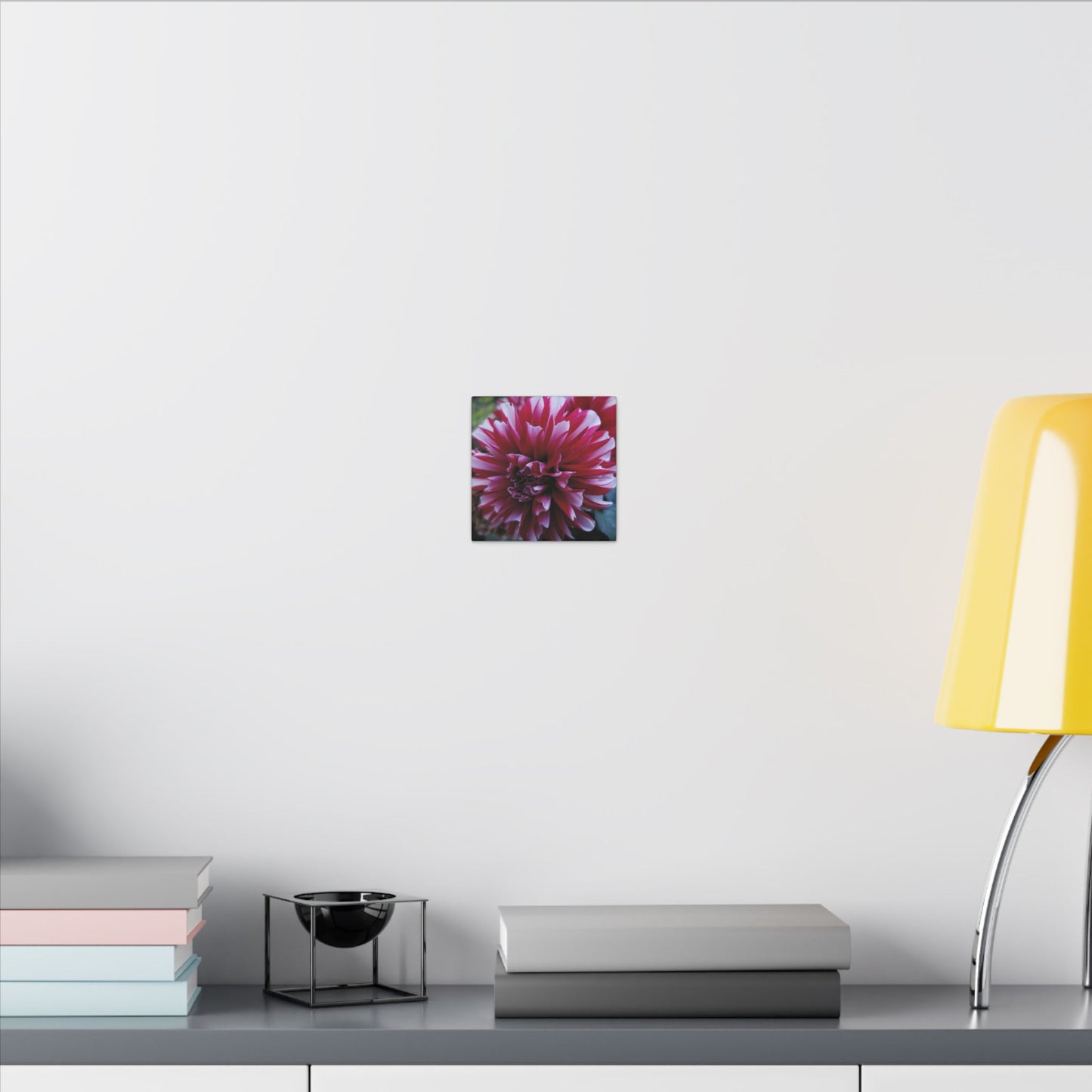 Red and White Dahlia Canvas Print – Bright Floral Nature Photography Wall Art
