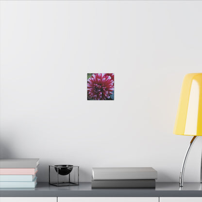 Red and White Dahlia Canvas Print – Bright Floral Nature Photography Wall Art