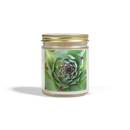 Pale Green Spiky Succulent Jar Candle – Minimalist Botanical Image Candle for Calm Desert-Inspired Decor