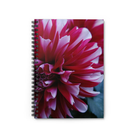 Red and White Dahlia Notebook – Botanical Floral Writing Journal, Cottagecore Summer Bloom Stationery