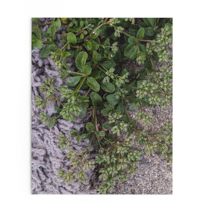 Where the Allseed Grows Puzzle – Urban Nature Minimalist Botanical Jigsaw with Concrete Texture