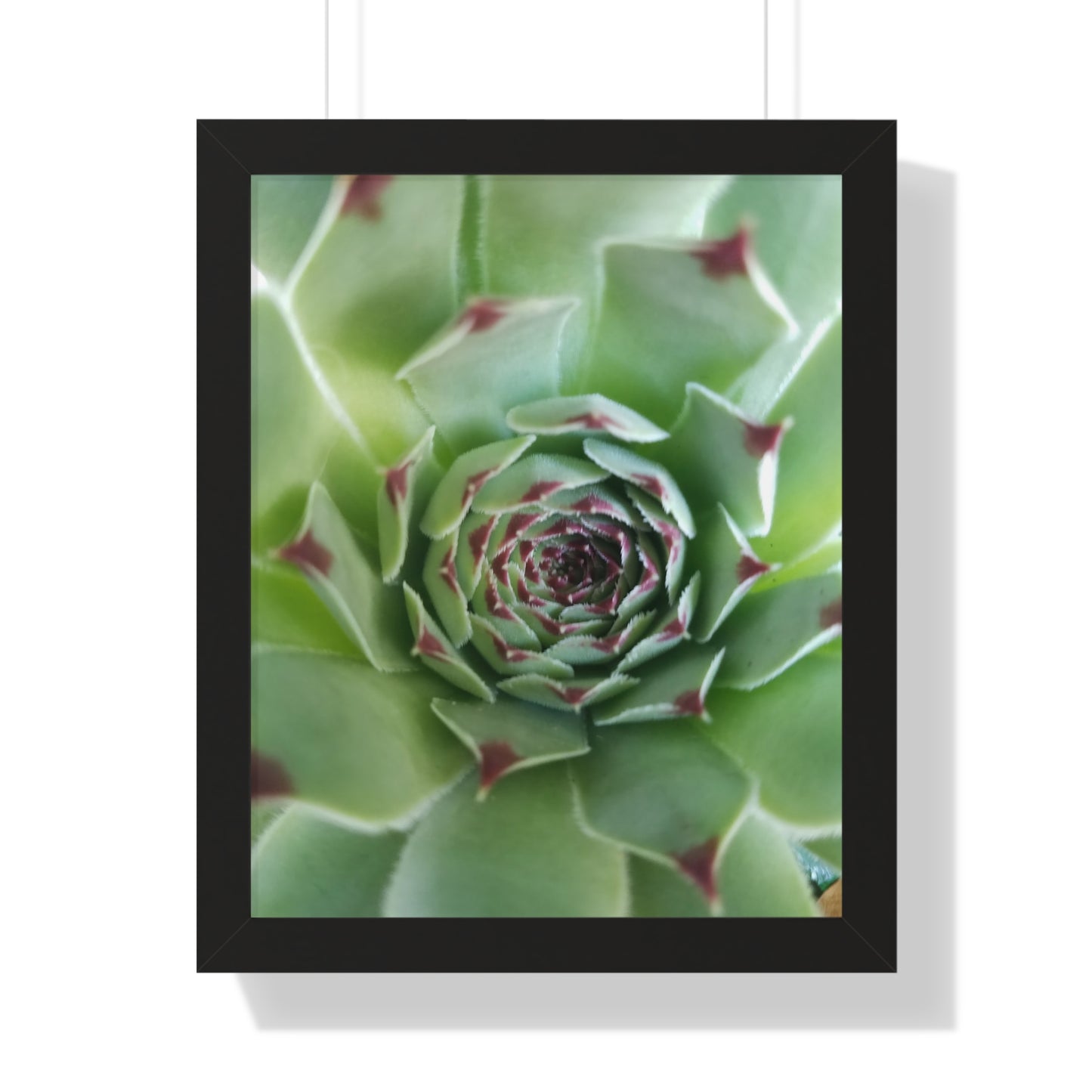 Pale Green Spiky Succulent Framed Print – Minimalist Botanical Wall Art for Desert-Inspired Interiors