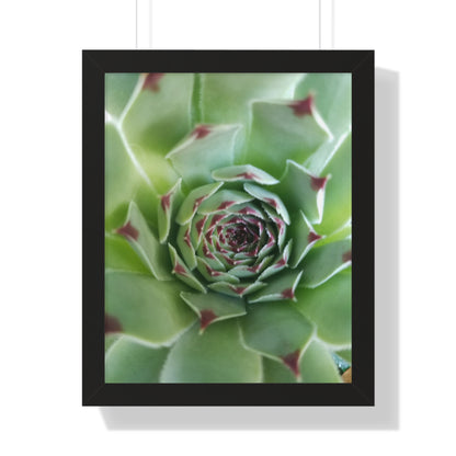 Pale Green Spiky Succulent Framed Print – Minimalist Botanical Wall Art for Desert-Inspired Interiors