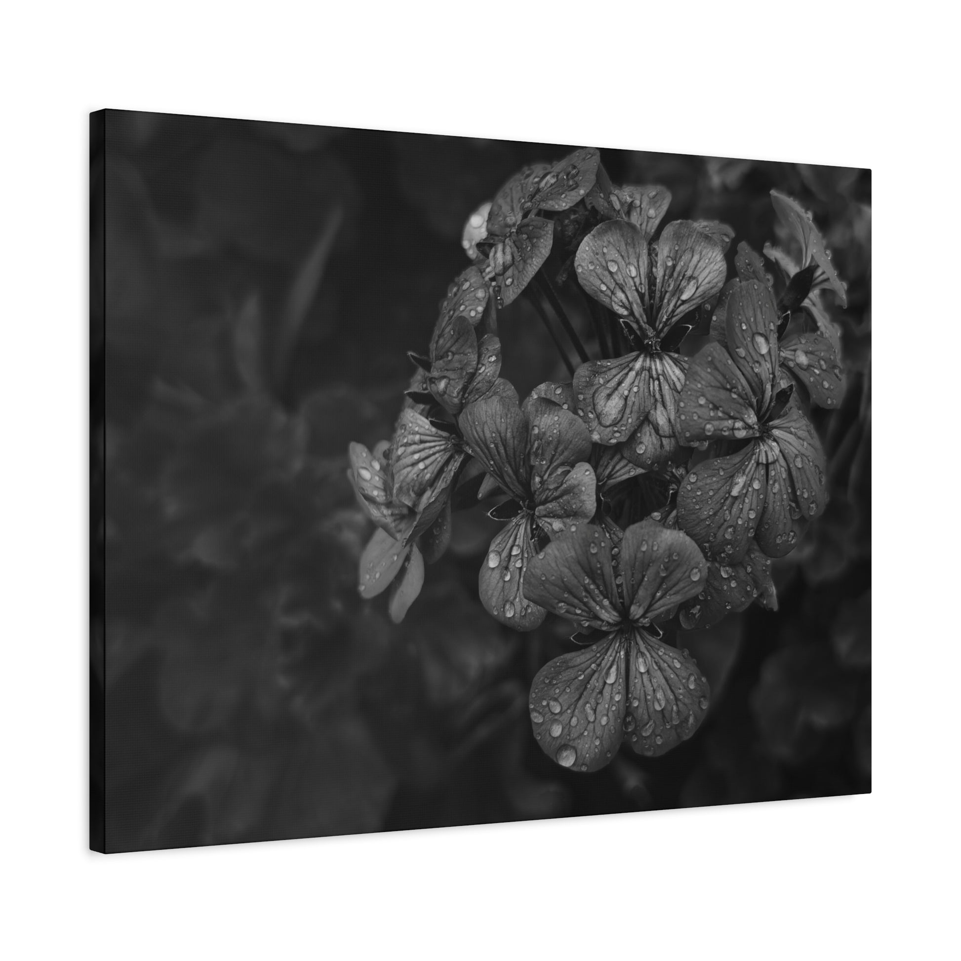 Soft romantic floral canvas print for serene spaces